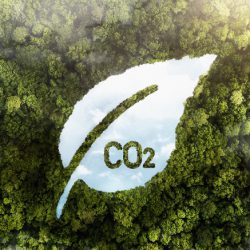 逐步建立低碳經濟：具氣候意識的投資者指引